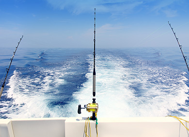 Experience a Deep Sea Fishing trip