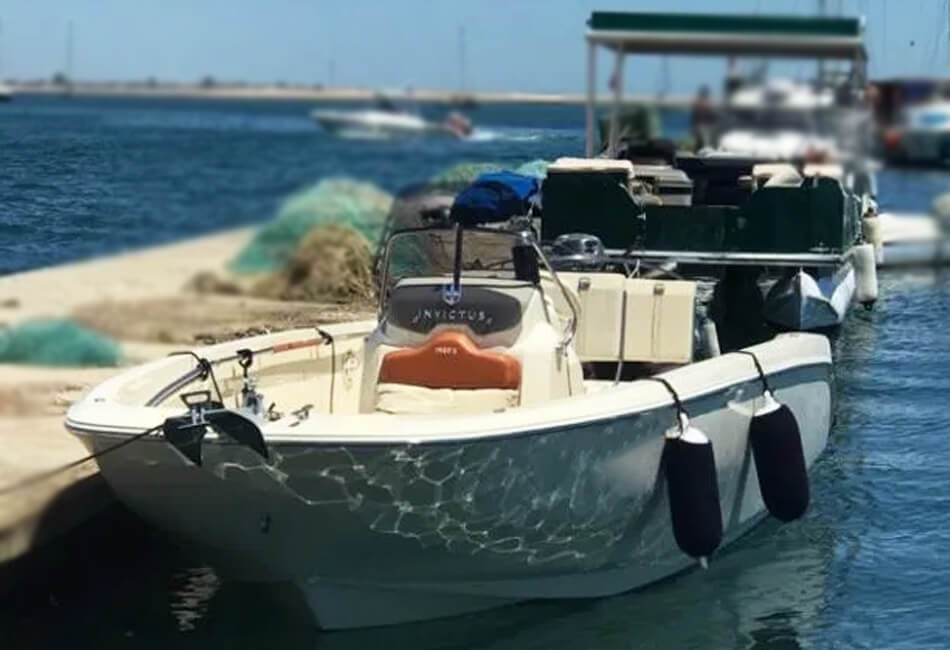 20 -футовий моторний човен Invictus 190 FX 