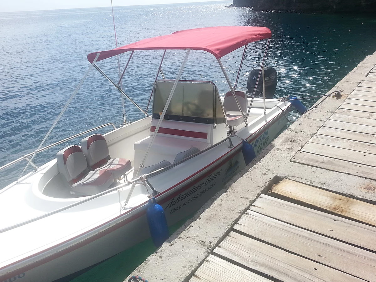 Bateau de vitesse de 22 pieds 