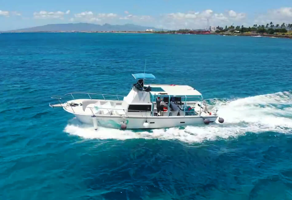 Моторна лодка за свободното време 24 фута (Идеален за гмуркане с акваланг/шнорхелинг)
