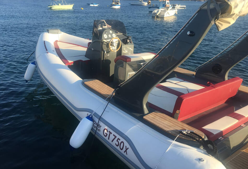 25,3 ft Seapower GT750X 