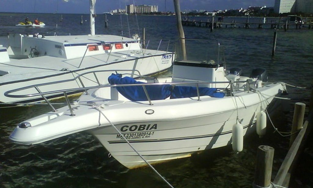 25 láb Cobia középkonzol 