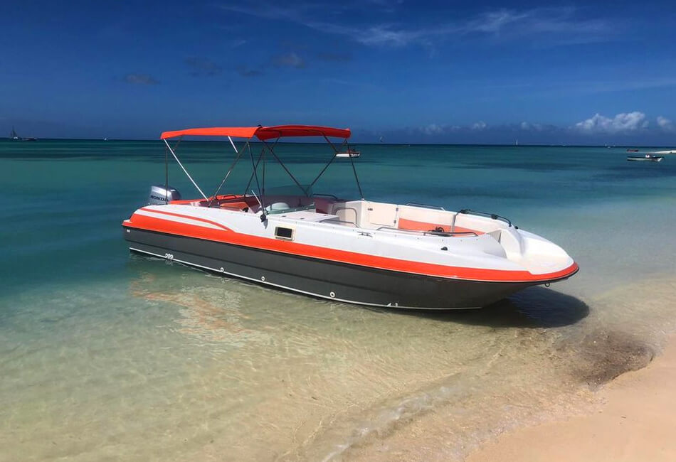 26 Ft Bayliner Bowrider