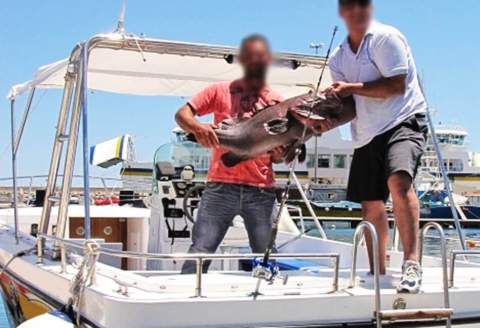 30 Ft Center Console Powerboat 