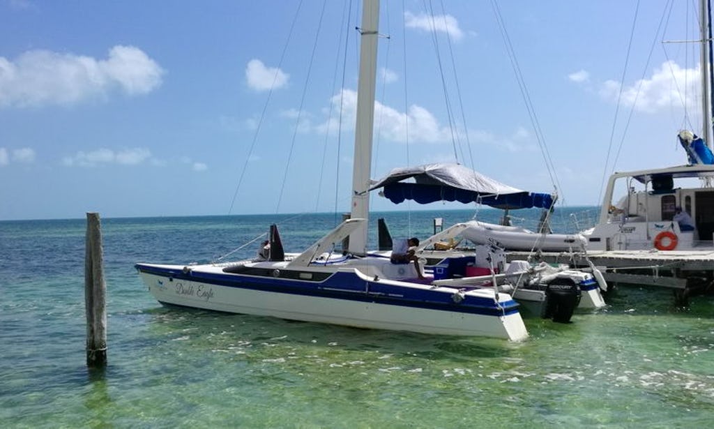 30 Ft Eagle Sailing Catamaran