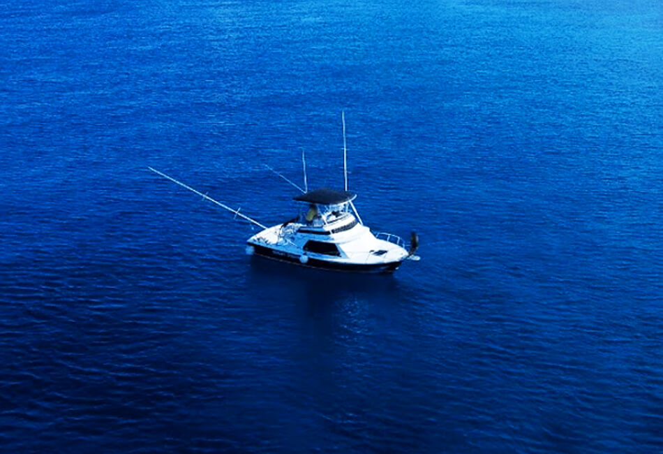 31フィートカミンズスポーツフィッシャー Motor Yacht