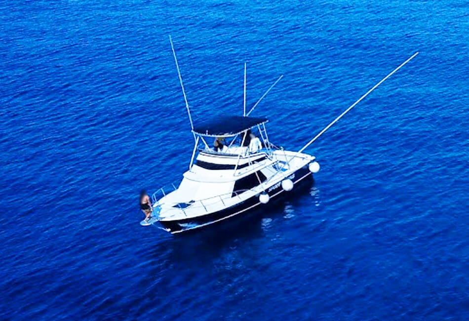 31 -футовий Cummins Sportfisher Моторна яхта