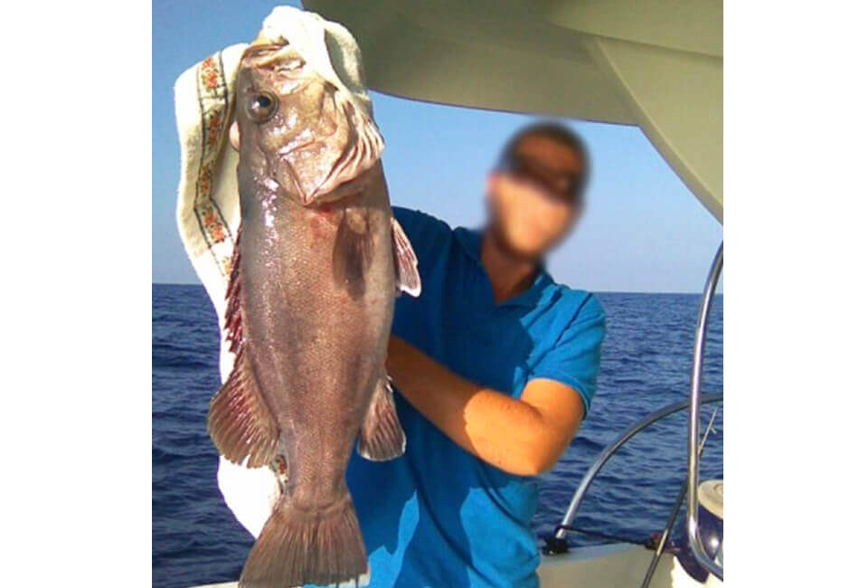 32,8 ft Grady Withe Yelken Balığı 282 