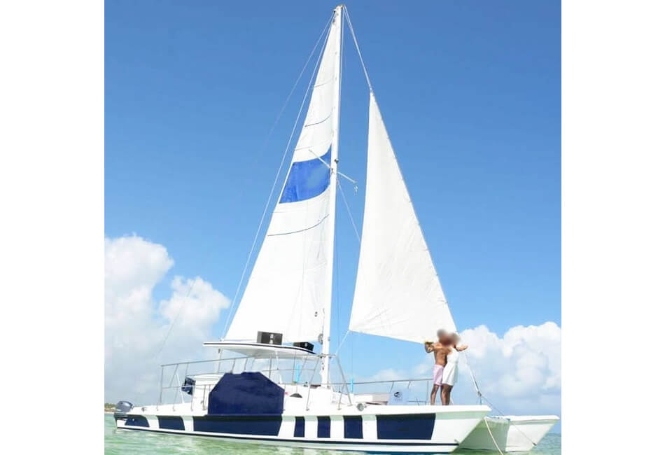 Catamaran de putere de 32 ft Barcă de petrecere