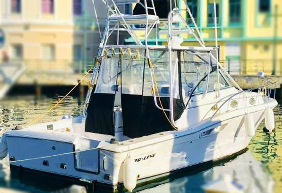 33 ft Proline Express Luksus Sportfisker Mors terapi