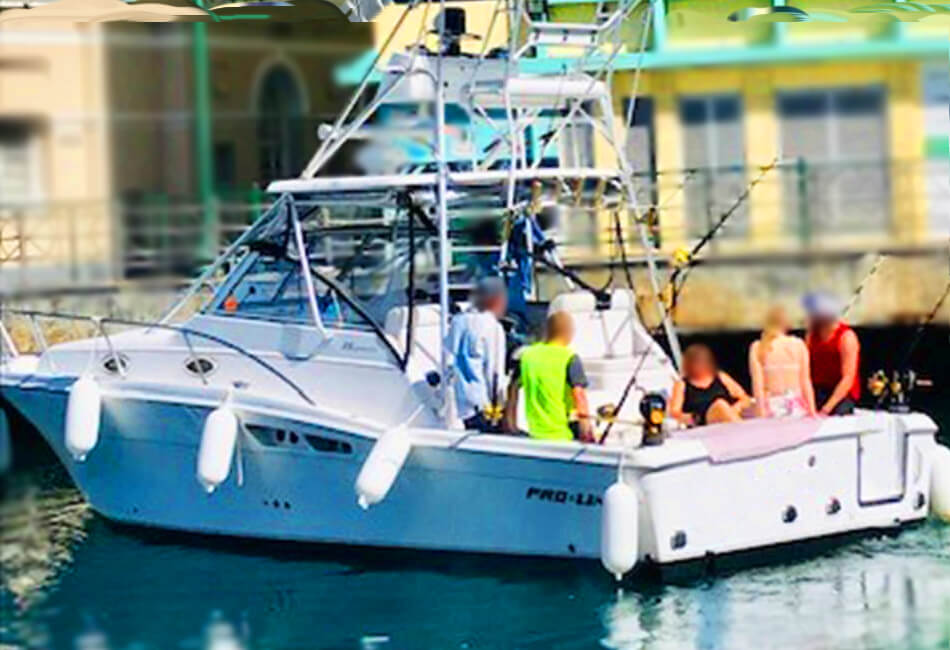33 ft Proline Express Luksus Sportfisker Mors terapi