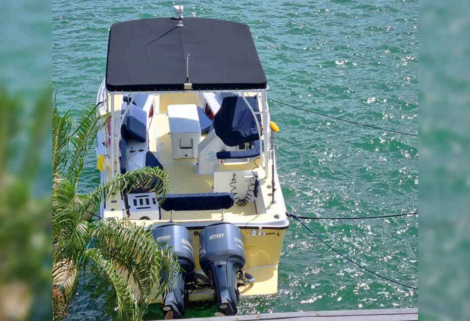 34 fot Ocean Pro Powerboat 