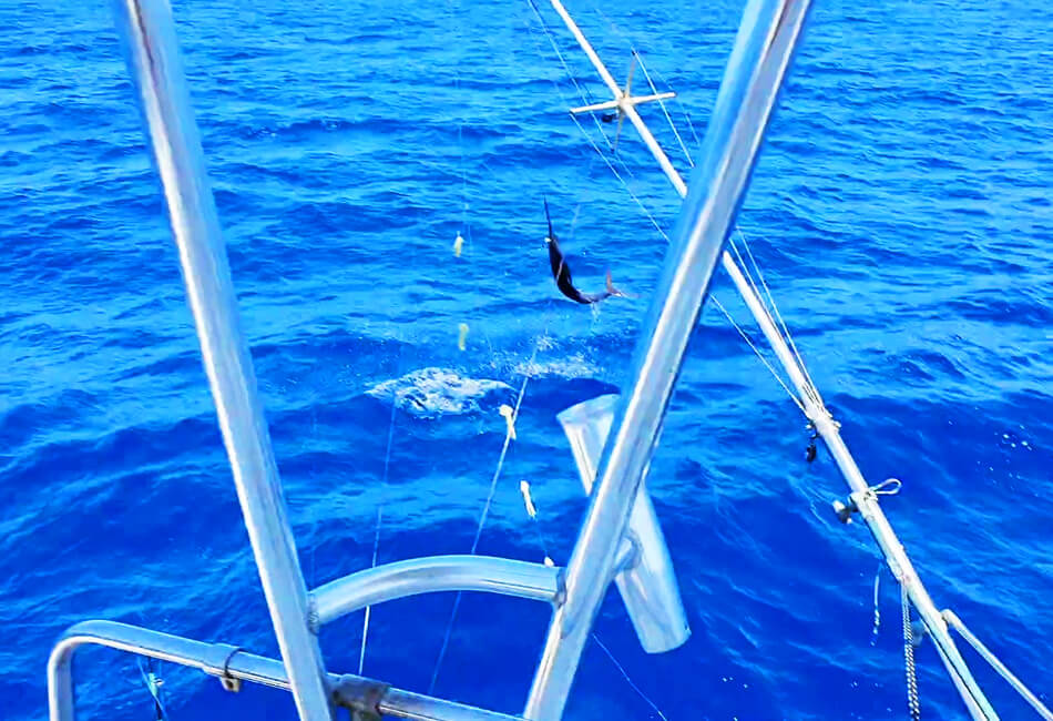 Lancha de pesca deportiva Bertram Flybridge de 35 pies 