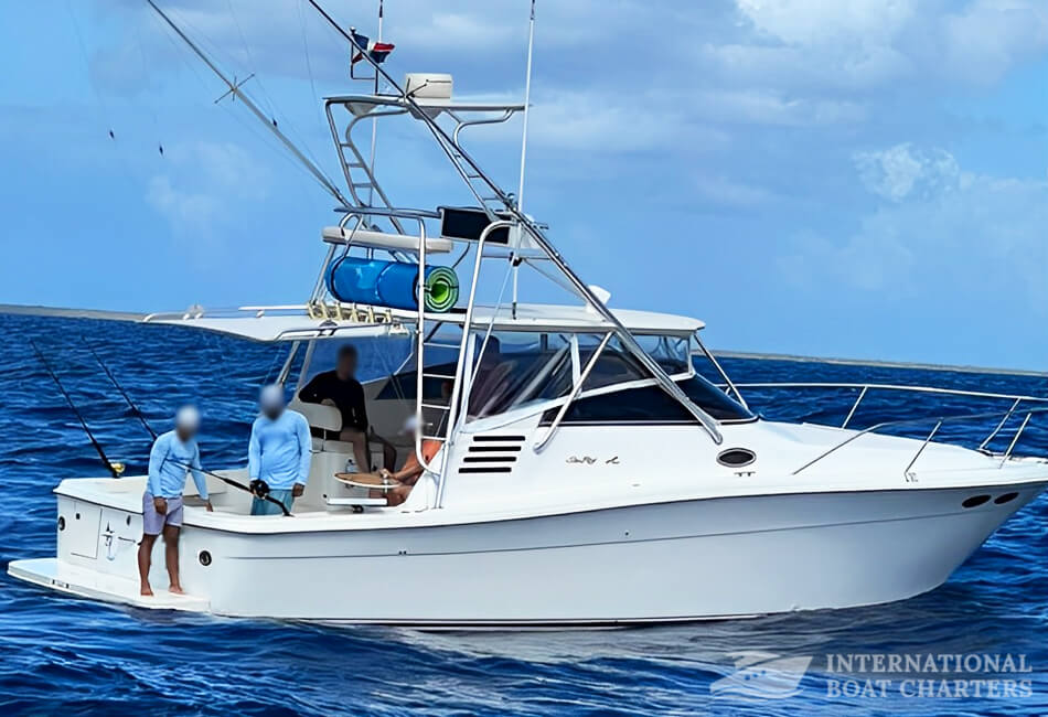 33 -metarski Sea Ray 330 Express Cruiser 