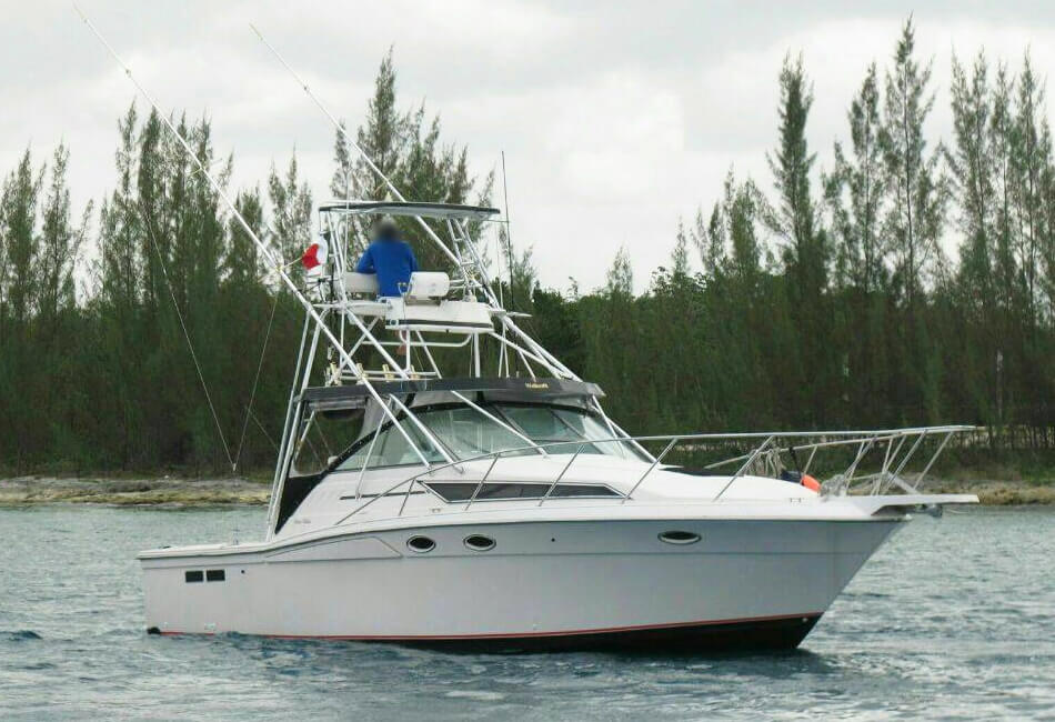 35 قدم Wellcraft Motorboat 