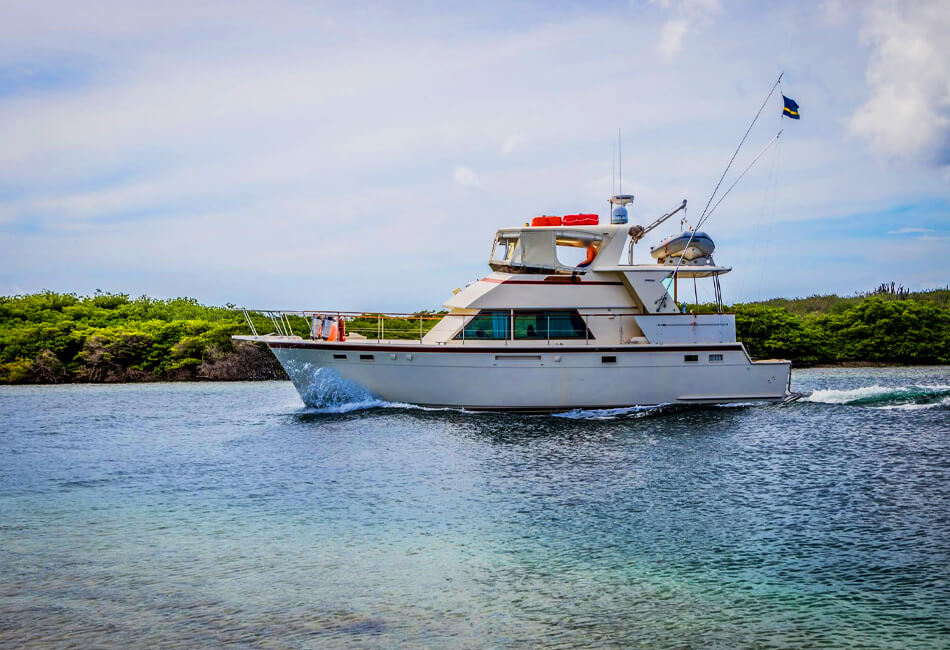 36 ft Cabin Cruiser 