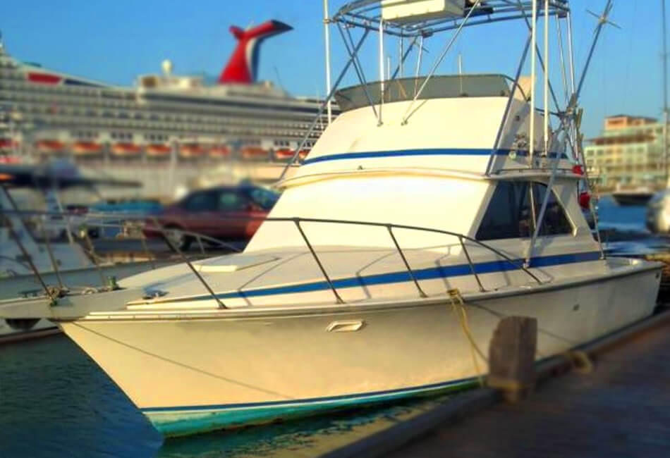 36 Ft Flybridge Elgin Yacht