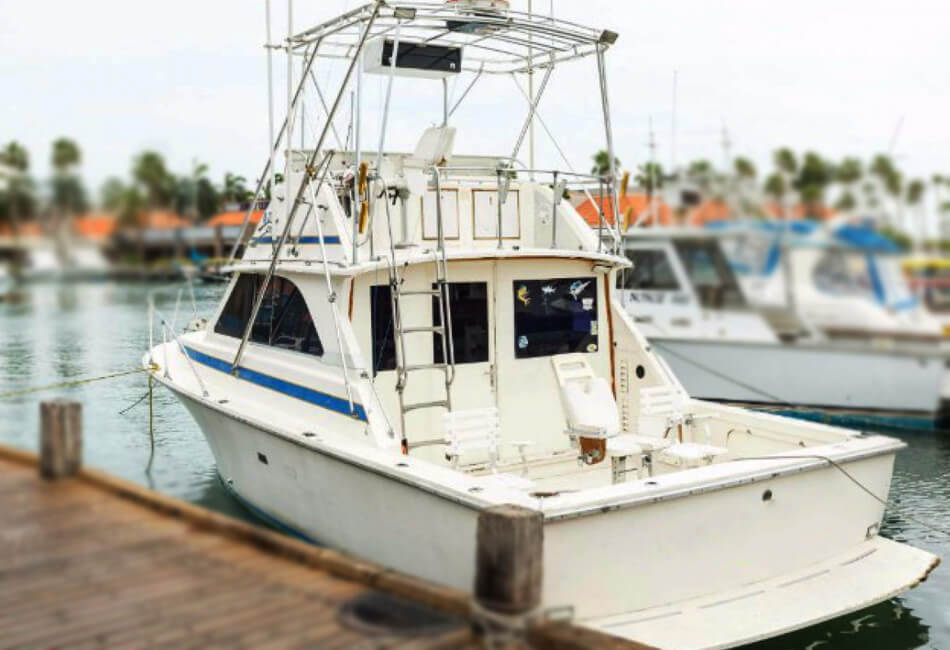 36 Ft Flybridge Elgin Yacht