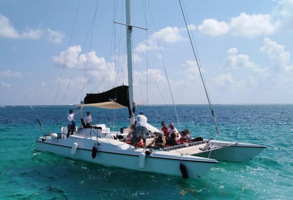 36 foot catamaran sailboat