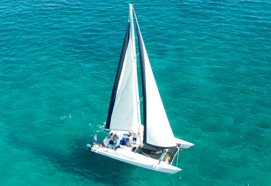 36 Ft Luxuries Catamaran 