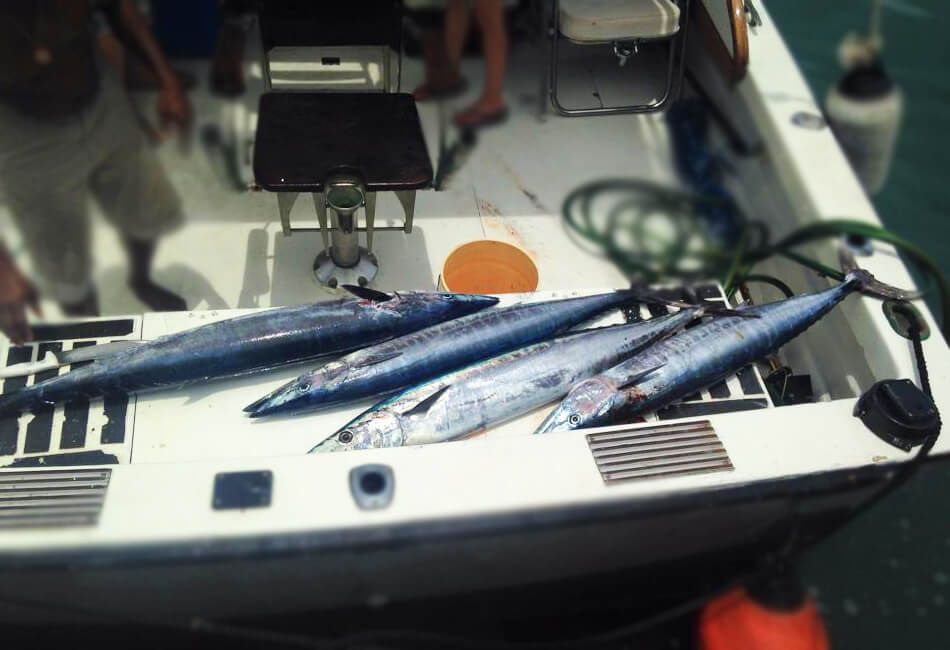 36 Ft Sportfisherman specialbyggd motorbåt