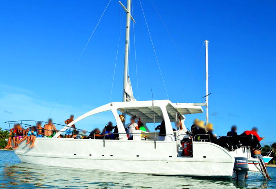 Catamarã Motorizado De 38 Pés Barco Festeiro