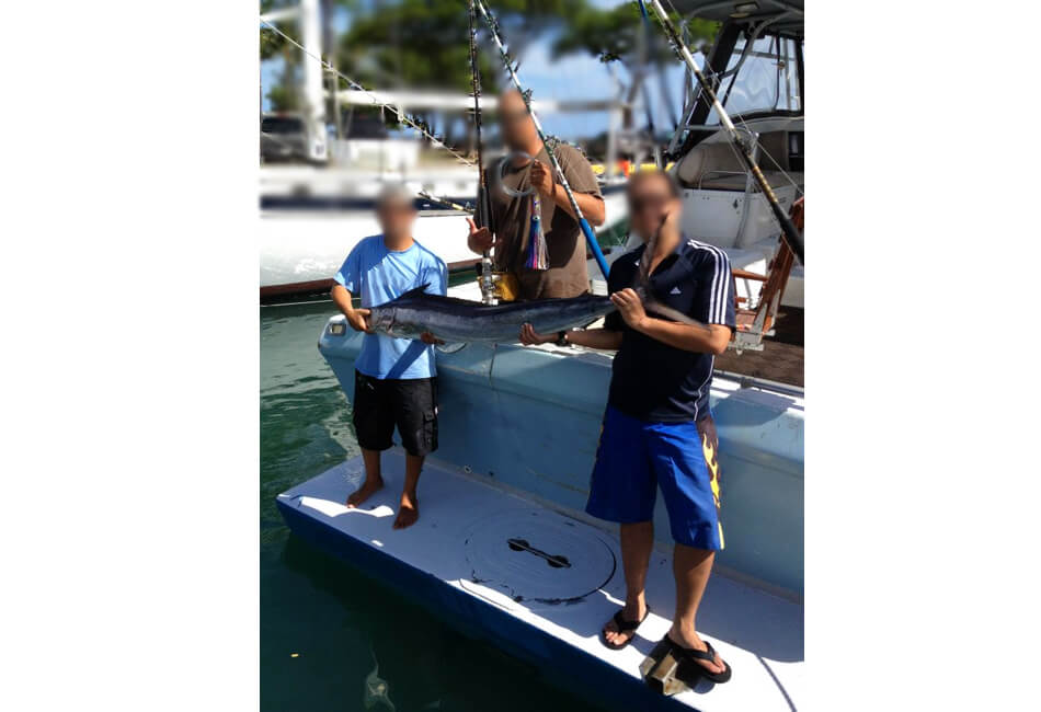 39 Ft Force Sportfisher Express 