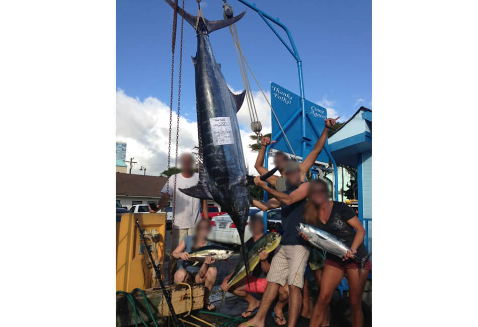 39 Ft Force Sportfisher Express 