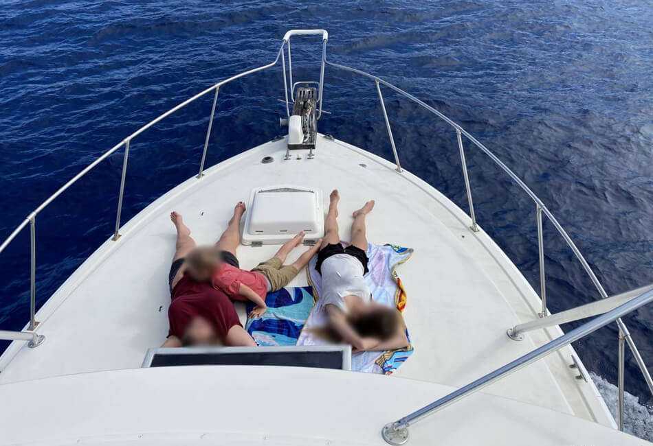 40 Ft Bertram Flybridge Sportfisher 