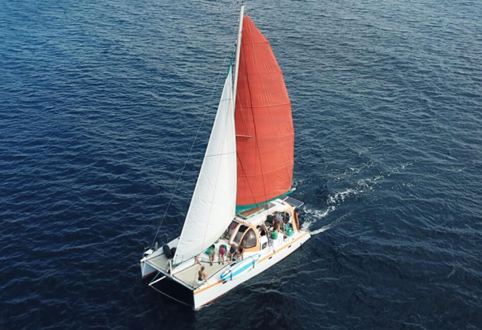 Catamaran à voile de 40 pieds 