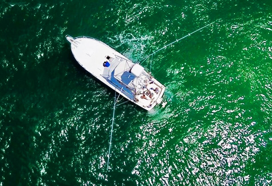 Моторний човен Hatteras Convertible Flybridge вагою 41 фут (Рибальські чартери)