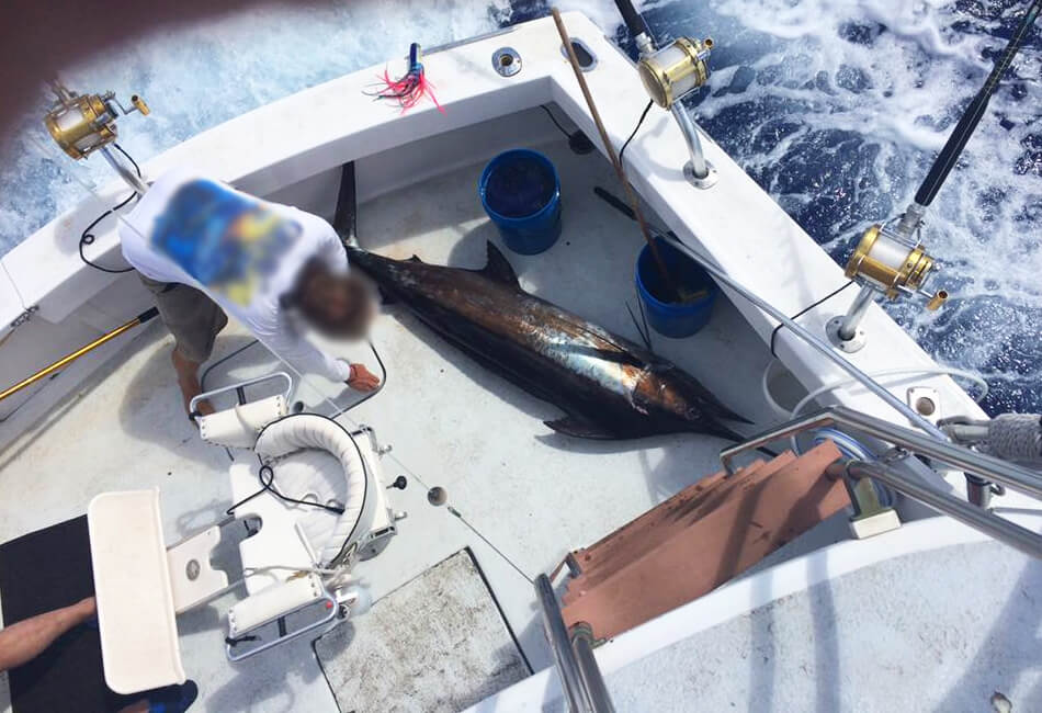 41 Ft Hatteras Sportsfisherman 