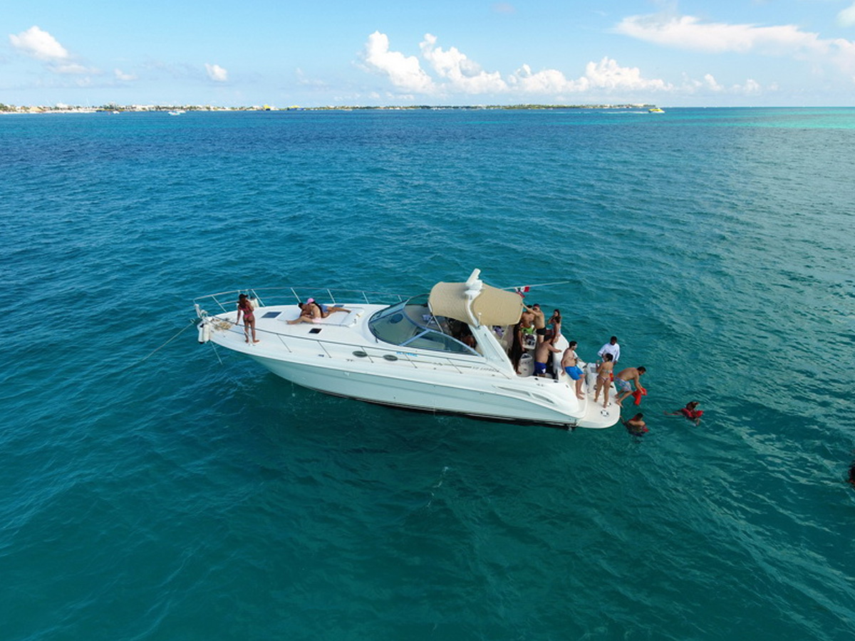 Yacht a motore Searay da 41 piedi