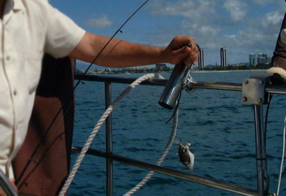 43 pies Jeanneau Sun Odyssey 43 DS 