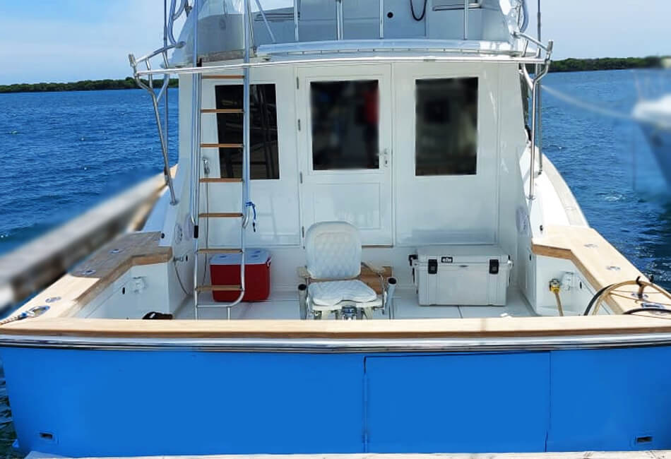 Barcă cu motor de lux de 45 ft 