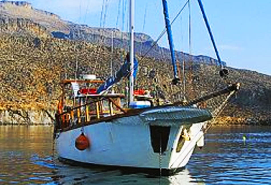 49 Ft Customized Handmade Sailboat 