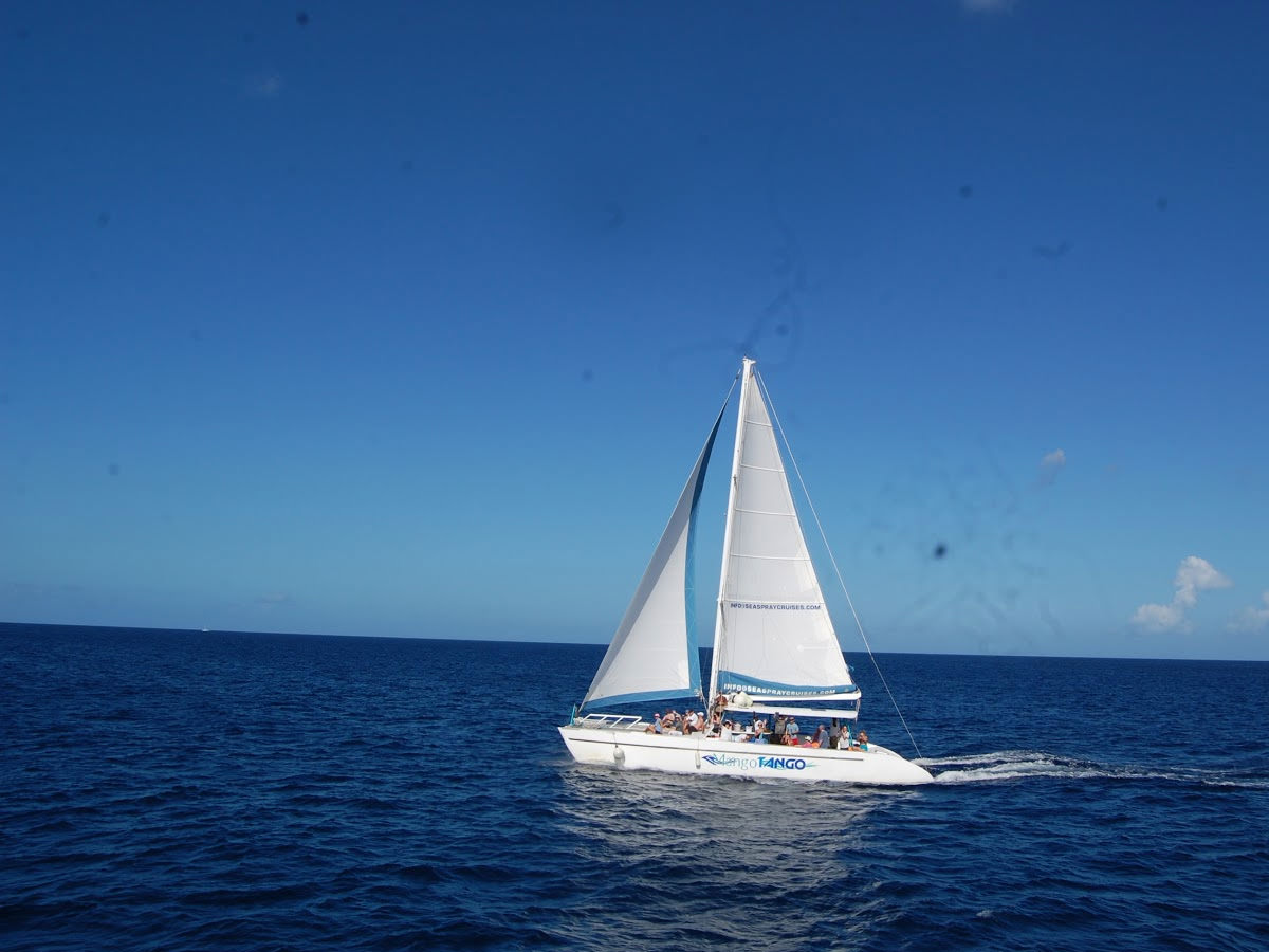 52 ft Sailing Catamaran 
