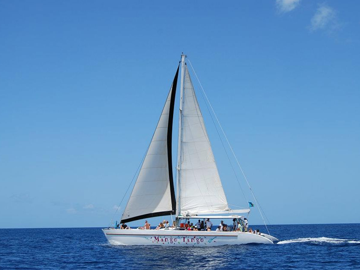 52 ft Sailing Catamaran 