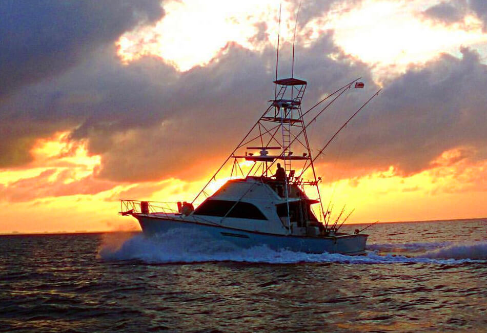 55 Ft Ocean Luxury Sport Fishing Yacht 