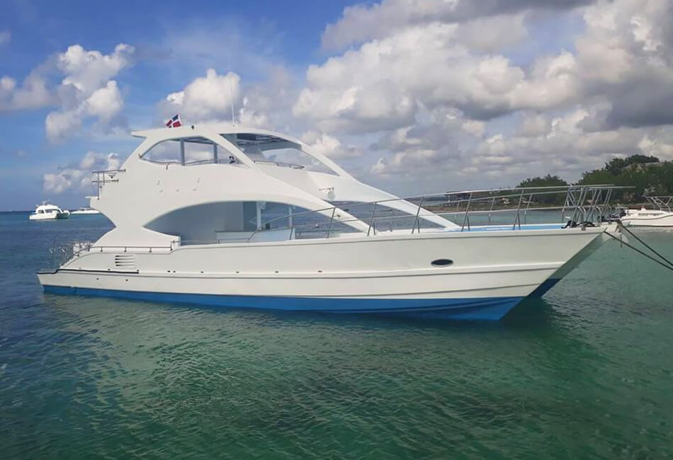 65 pieds Schifender Catamaran de fête motorisé